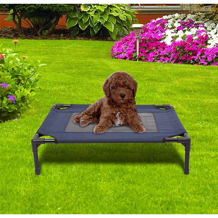 Tucker Murphy Pet™ Boggs Elevated Dog Bed/Pet Cot & Reviews Wayfair Canada